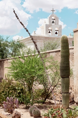 Kaktus Kirke