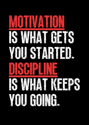 Motivação VS Disciplina