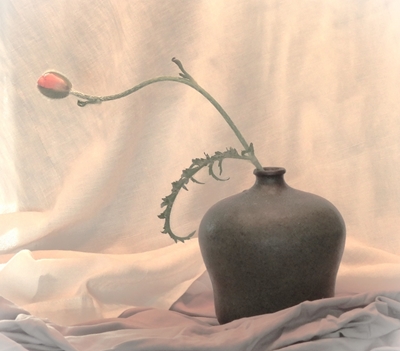 the vase