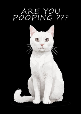 Pooping hvid kat