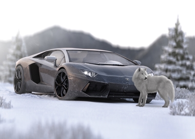 Lamborghini Aventador & Wolf