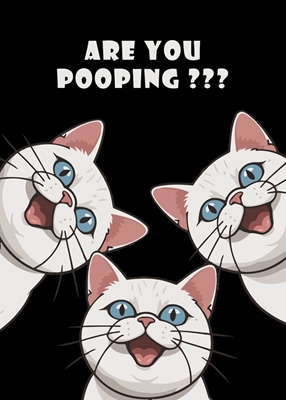 Are you pooping Cat