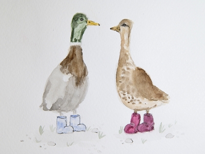 Ducks in boots