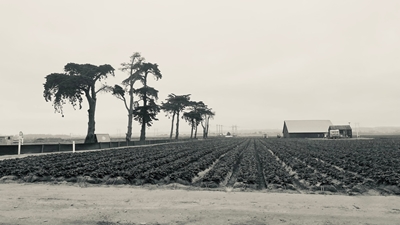 Landbruk i California