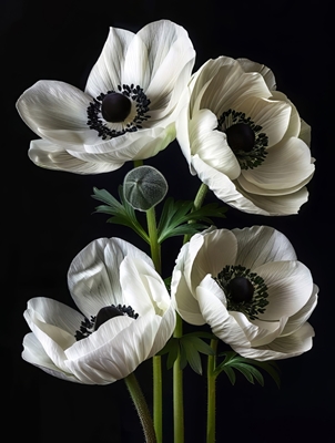 Vita blommor på svart
