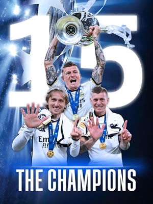 The Champions 15