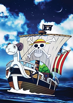 One Piece Ship Going marry