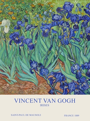 V. Van G - Iris