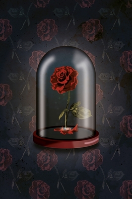 Rosa nella campana di vetro