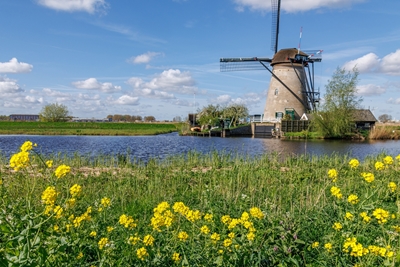 moinho de vento na Holanda
