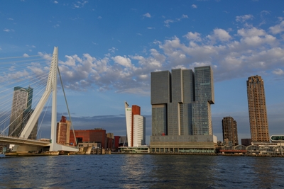 Lo skyline di Rotterdam