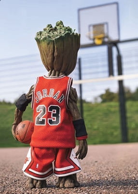Michael Jordan 23 Basketball