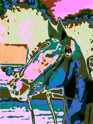 Tête de cheval colorée