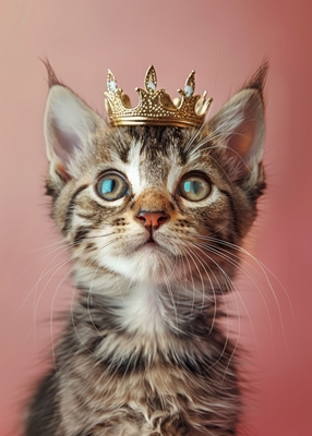Kätzchen Kleiner König