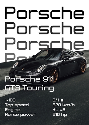 Porsche 911 GT3 touring