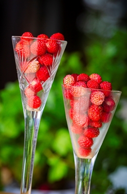 Wild Strawberry, summer taste 
