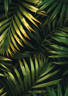 Palm Gold Leaf