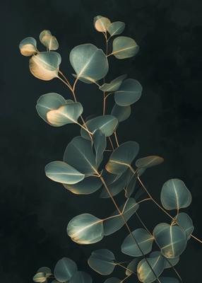 Eukaliptusowy Złoty Liść