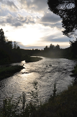 Byske rivier met een lichte sluier