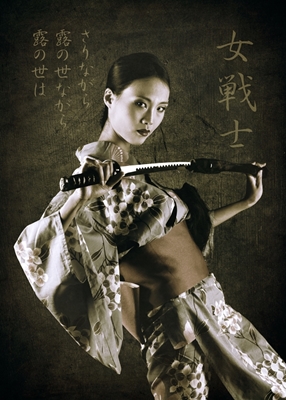 Samurai Shadow: A Vintage Ode