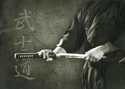 Samurai: Ekko af fortiden