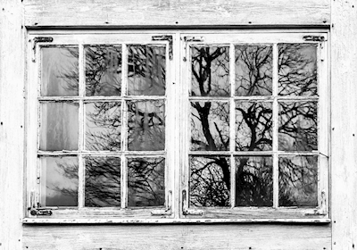 A janela de madeira