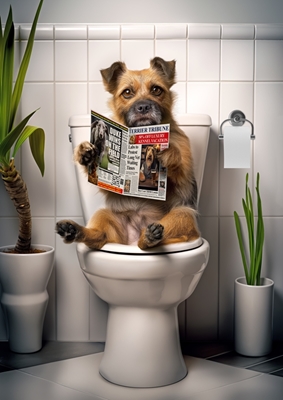 Border Terrier auf der Toilette