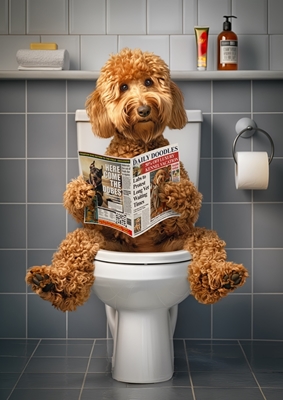 Goldendoodle sur les toilettes
