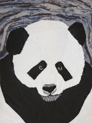 Retrato de um panda jovem