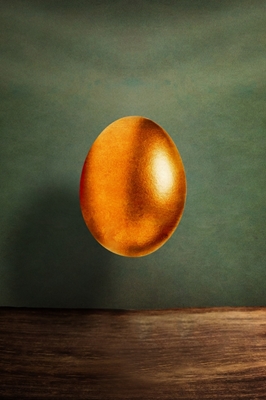 Levitated Egg