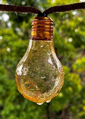 Una lampadina sotto la pioggia estiva