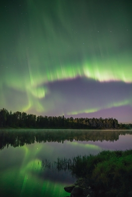 Aurora boreal em uma noite de outono