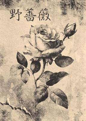 La rosa selvatica giapponese