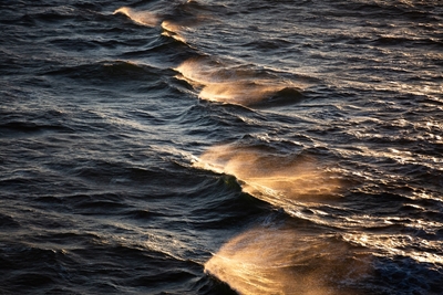 Aurinkosuudelmat aallot
