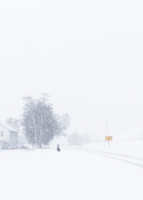 Whitewalker in snowstorm