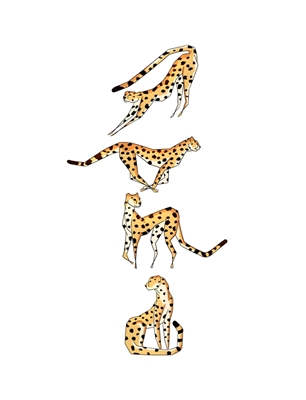 Szybkie gepardy