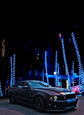 Mustang noir 
