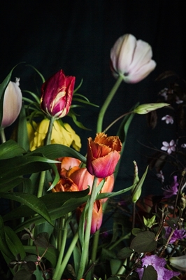 I tulipani
