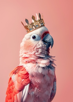Papegøje konge
