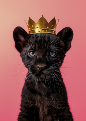 Baby Panther König