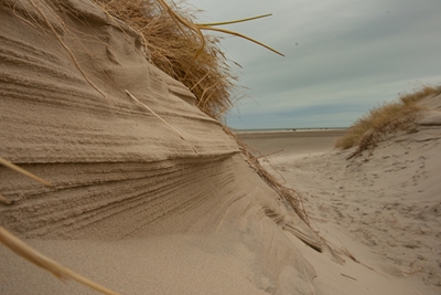 Tekstuurit hiekassa