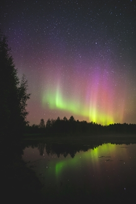 Coloridas auroras boreales