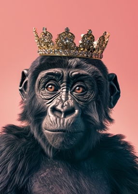 Gorilla Koning
