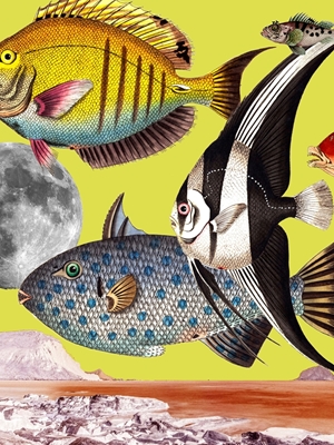 Collage surreale del mondo dei pesci 