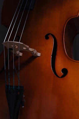 Double bass