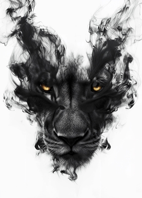  Majestuoso León Negro