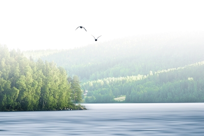 Mgła w jeziorze Tavelsjön