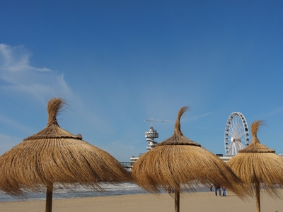 Parasol de palmier sur la plage