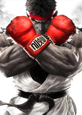 Luchador callejero Ryu