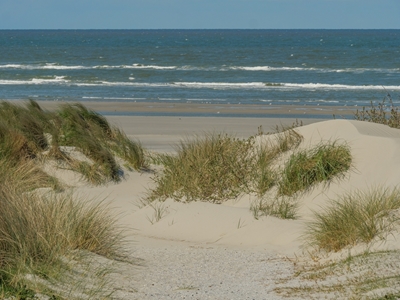 dunes at the sea